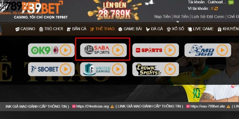 Saba Sports – Kênh kiếm tiền trực tuyến hàng đầu tại Châu Á 1 Saba Sports là gì?